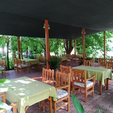 Olympos Yavuz Hotel Çıralı エクステリア 写真