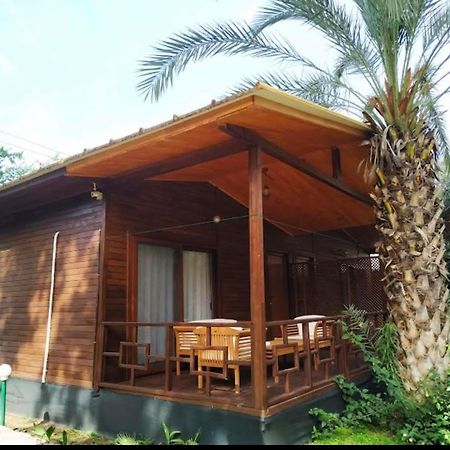 Olympos Yavuz Hotel Çıralı エクステリア 写真