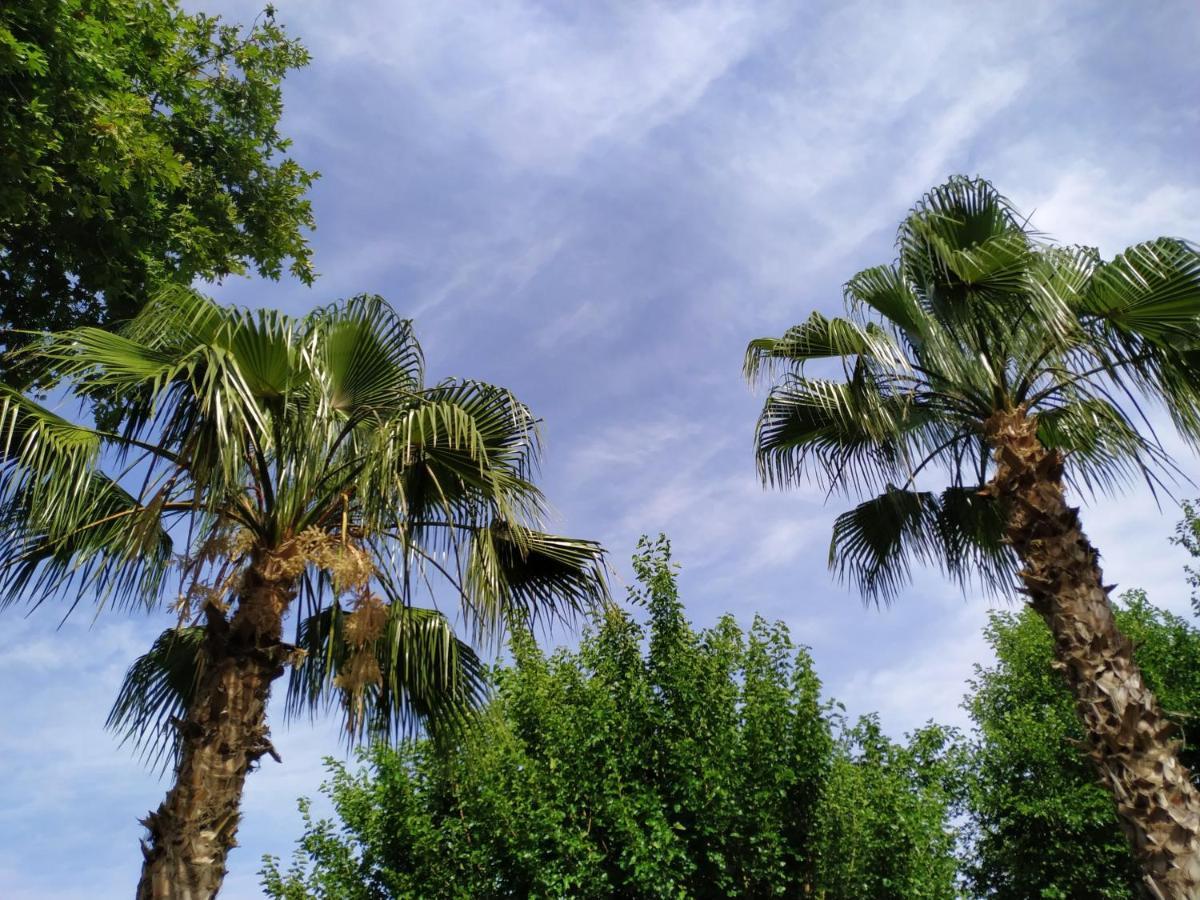 Olympos Yavuz Hotel Çıralı エクステリア 写真