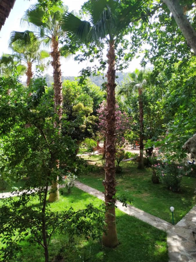 Olympos Yavuz Hotel Çıralı エクステリア 写真