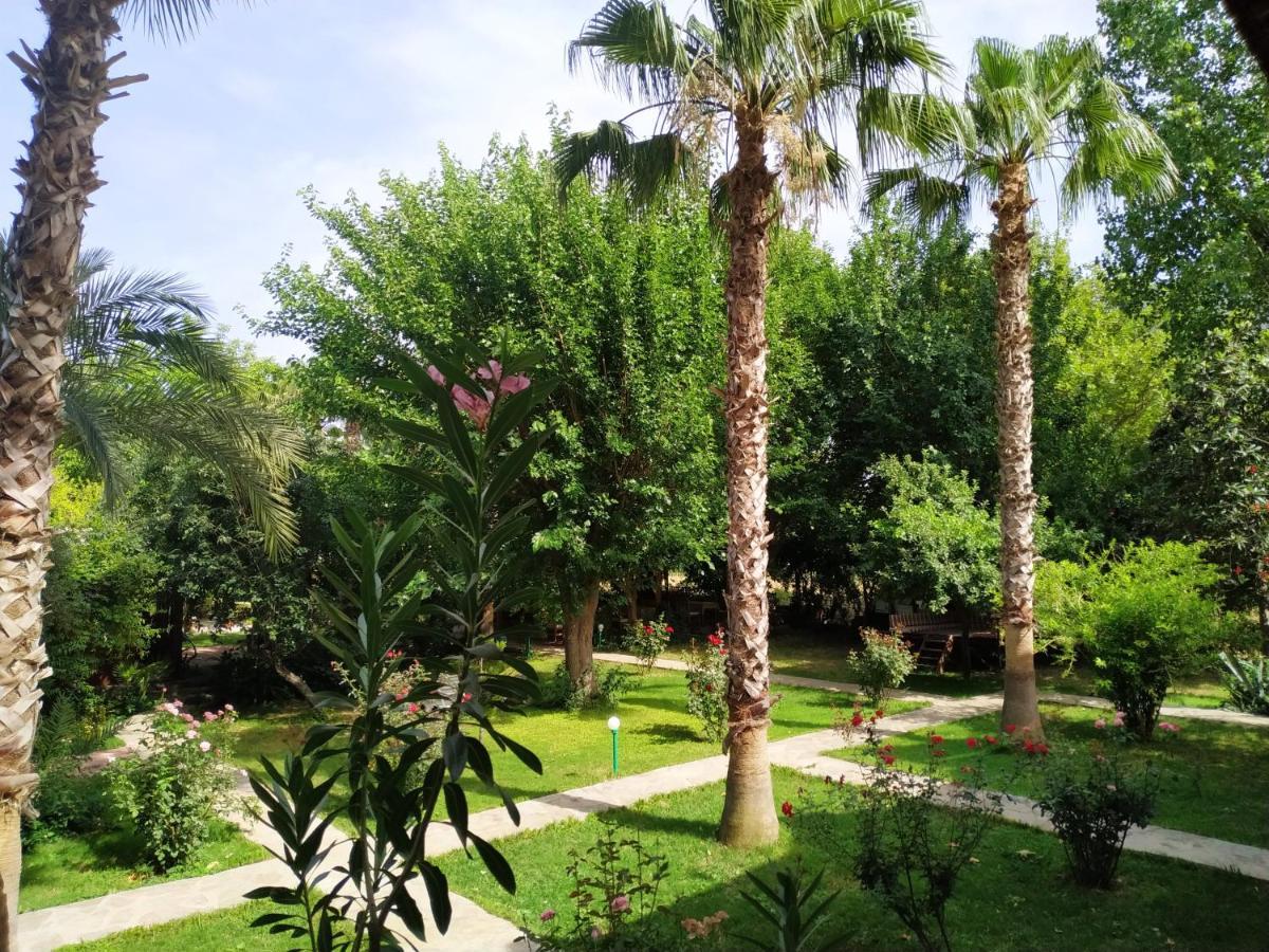 Olympos Yavuz Hotel Çıralı エクステリア 写真
