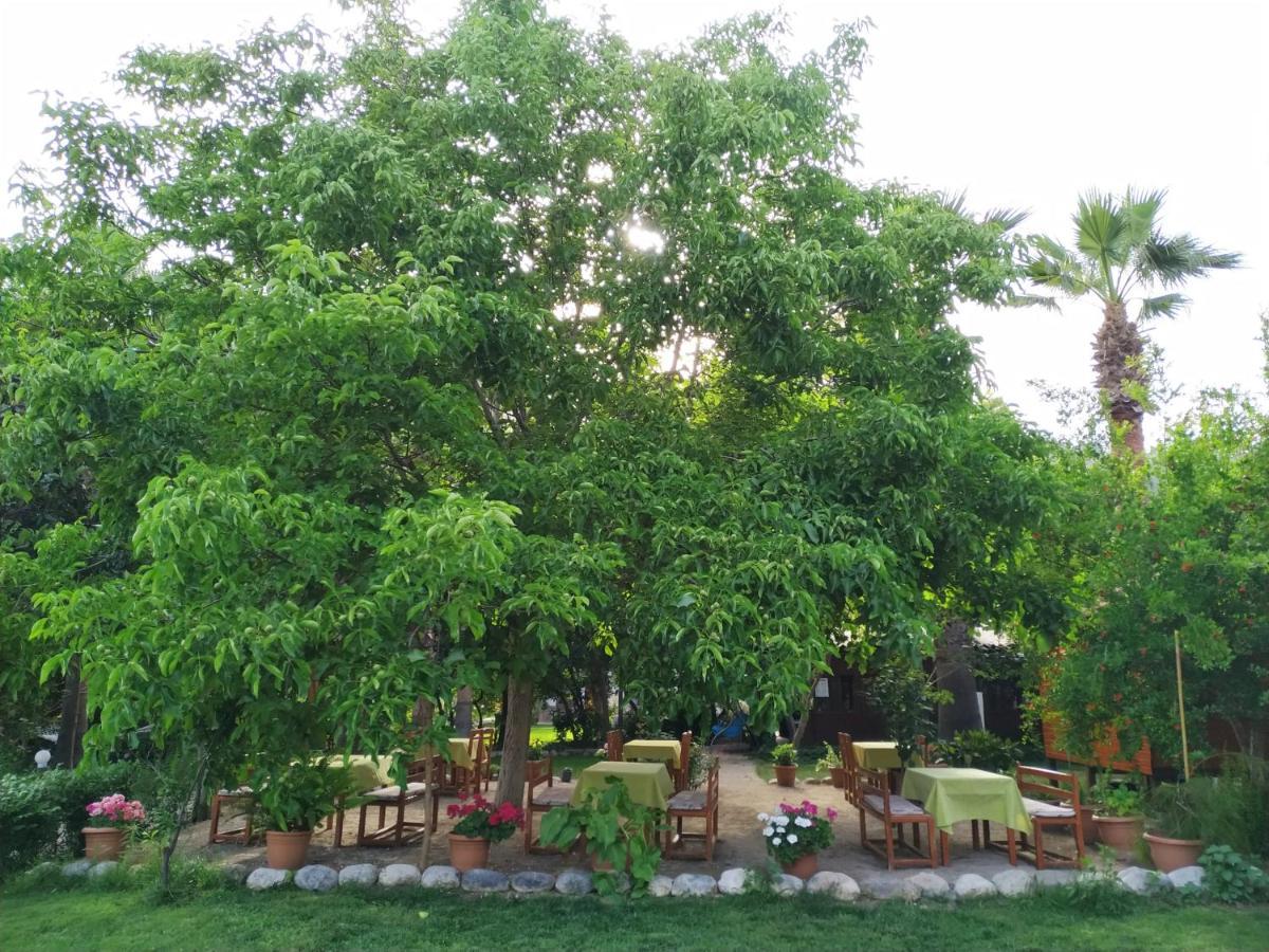 Olympos Yavuz Hotel Çıralı エクステリア 写真