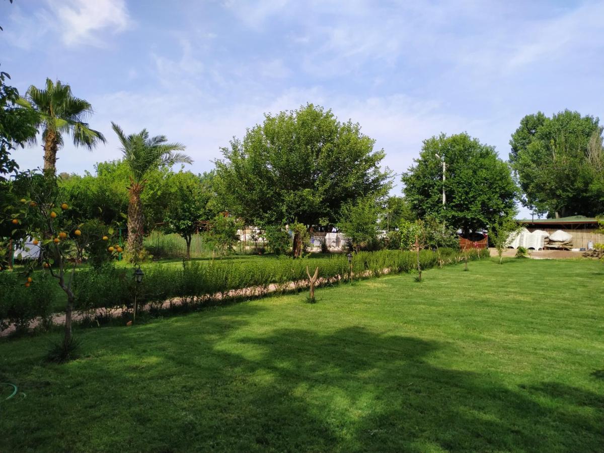 Olympos Yavuz Hotel Çıralı エクステリア 写真