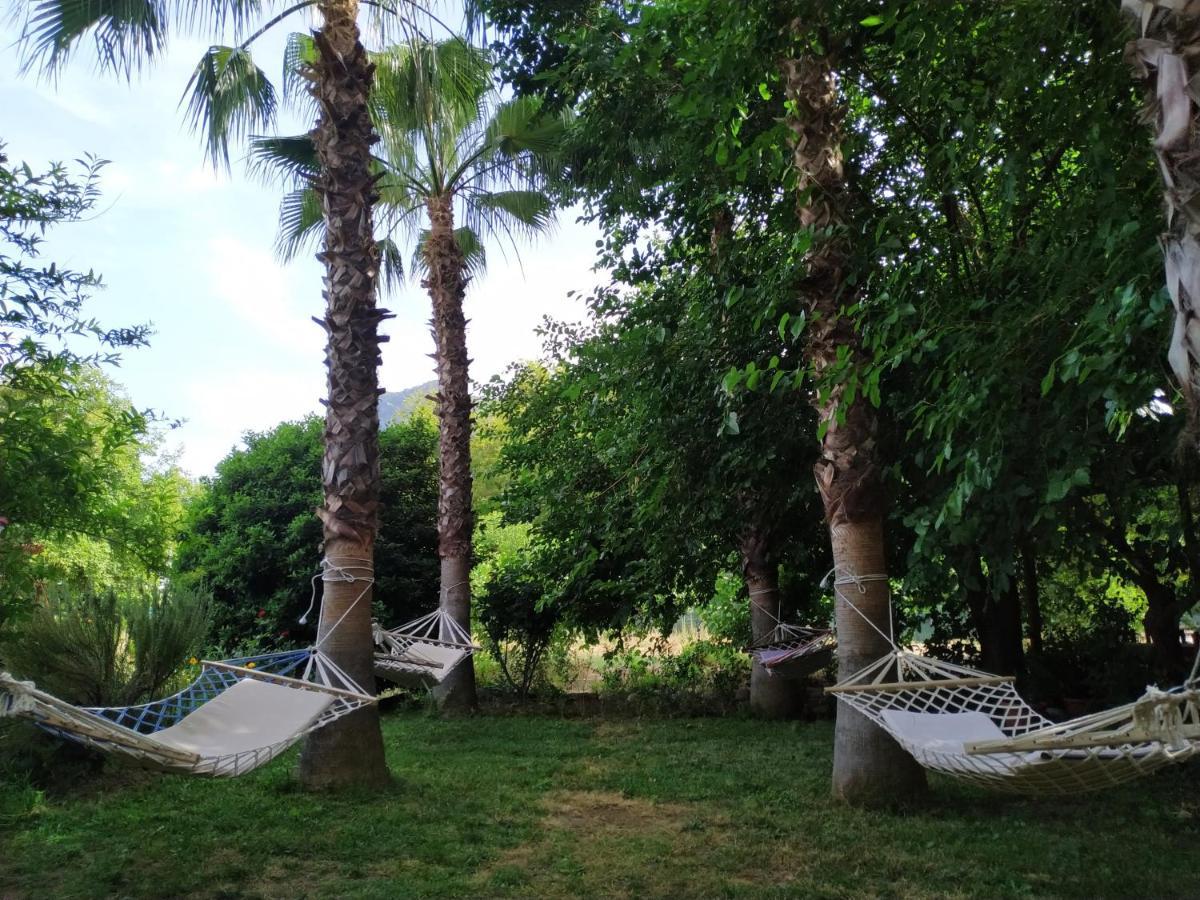 Olympos Yavuz Hotel Çıralı エクステリア 写真