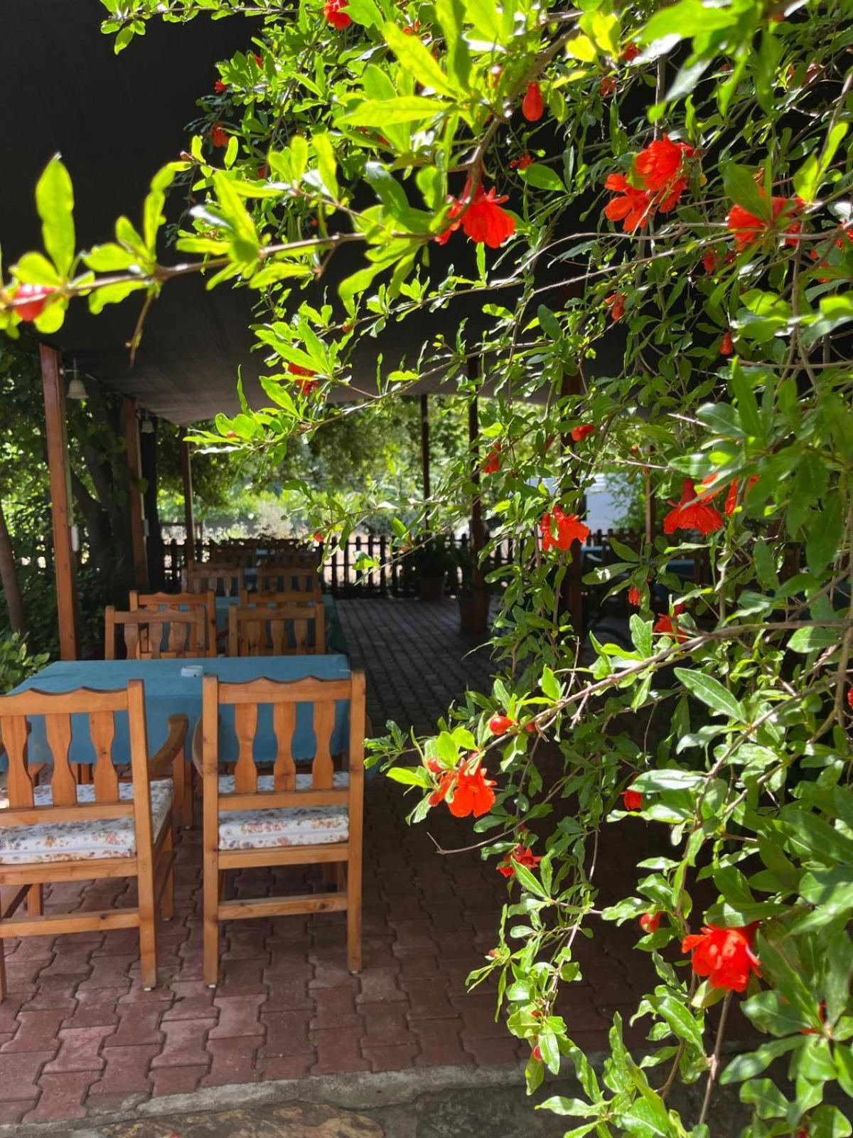 Olympos Yavuz Hotel Çıralı エクステリア 写真