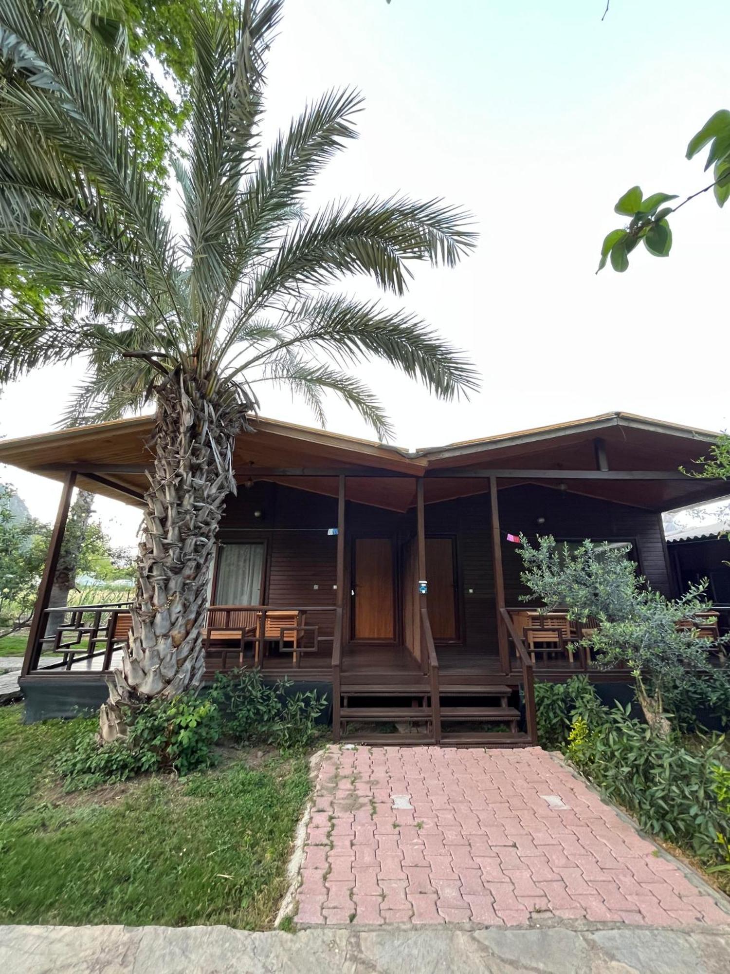 Olympos Yavuz Hotel Çıralı エクステリア 写真