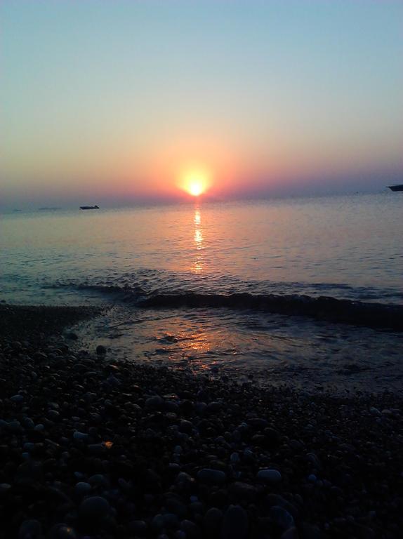 Olympos Yavuz Hotel Çıralı エクステリア 写真